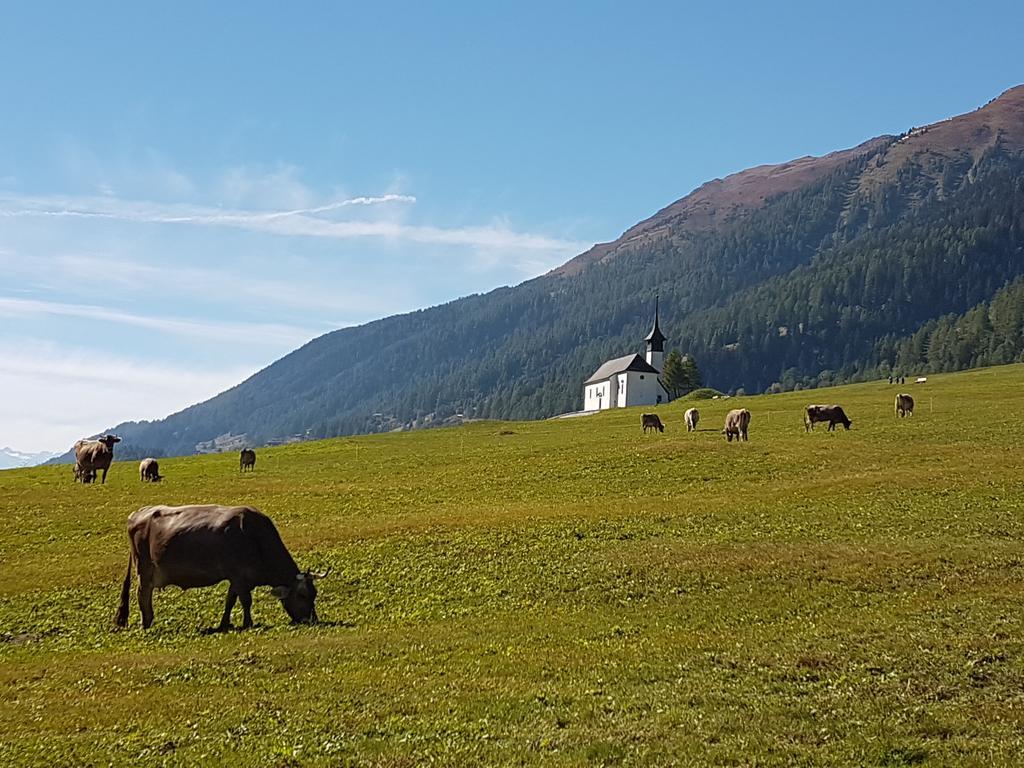 Chalet Daheim Reckingen エクステリア 写真