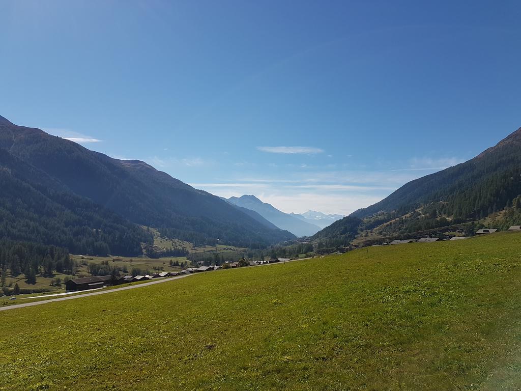 Chalet Daheim Reckingen エクステリア 写真